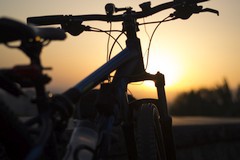 bike-1517763_1920_240.jpg